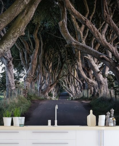 The Dark Hedges of County Antrim Wallpaper