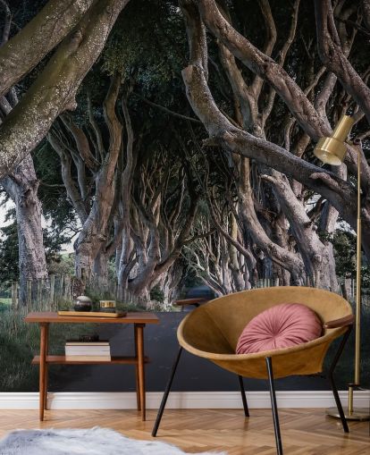 The Dark Hedges of County Antrim Wallpaper