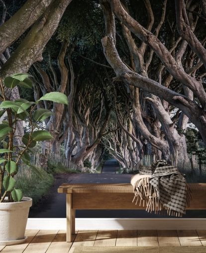 The Dark Hedges of County Antrim Wallpaper