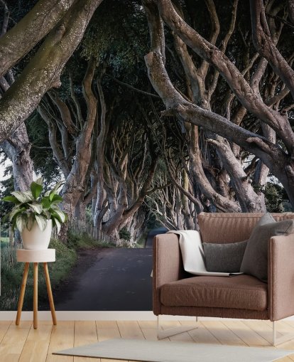 The Dark Hedges of County Antrim Wallpaper The Dark Hedges of County Antrim Wallpaper