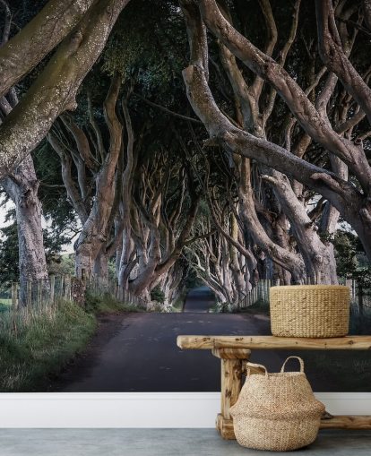 De donkere heggen van County Antrim behang De donkere heggen van County Antrim behang