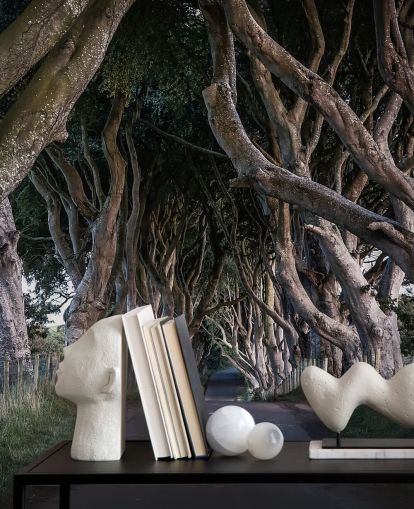 The Dark Hedges of County Antrim Wallpaper
