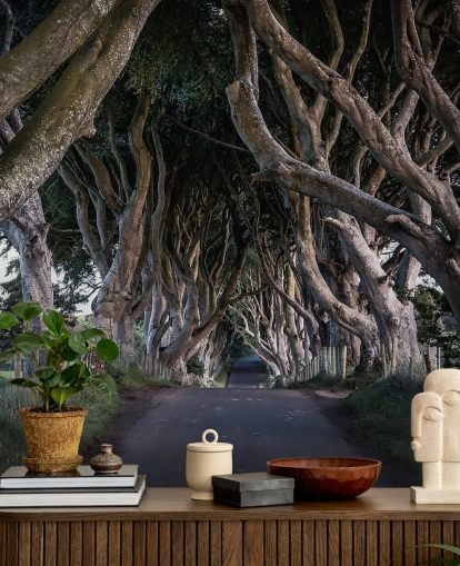 The Dark Hedges of County Antrim Wallpaper The Dark Hedges of County Antrim Wallpaper