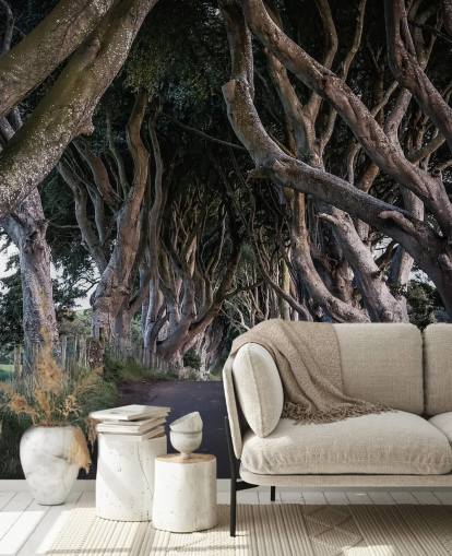 Papel de Parede de The Dark Hedges of County Antrim Papel de Parede de The Dark Hedges of County Antrim