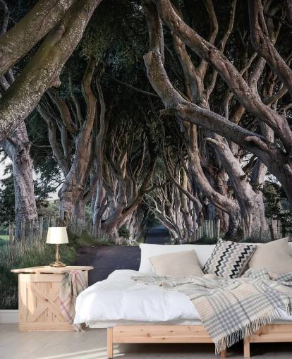 The Dark Hedges of County Antrim Wallpaper