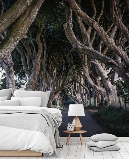 Papel de Parede de The Dark Hedges of County Antrim