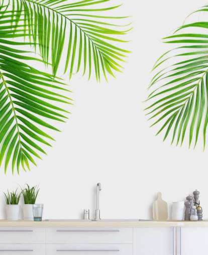 light green palm leaves wallpaper