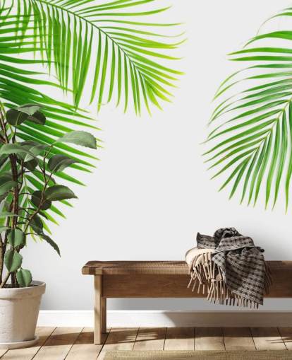 light green palm leaves wallpaper