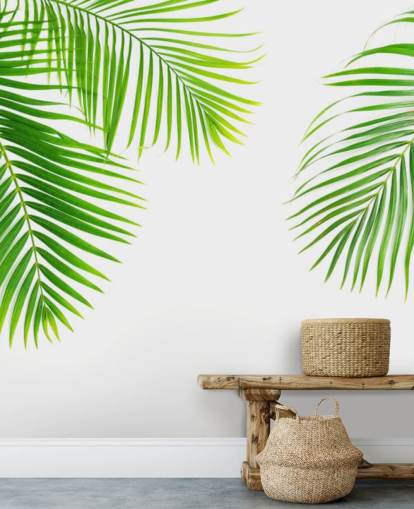 light green palm leaves wallpaper light green palm leaves wallpaper