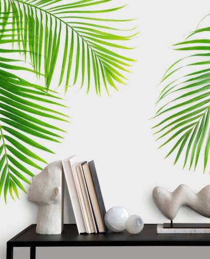 light green palm leaves wallpaper