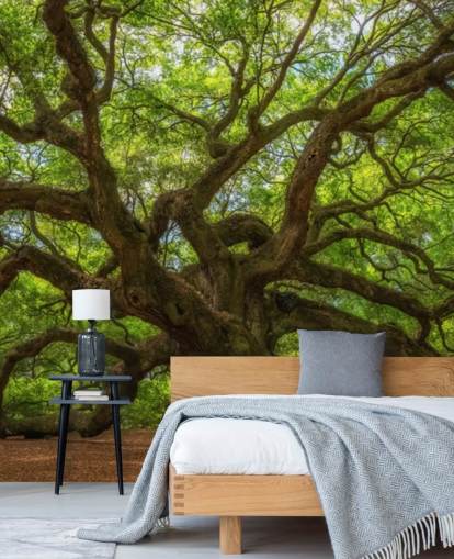 brunt och grönt träd tapetväggmålning som heter Angel Oak Tree för sovrum, kontor och företag
