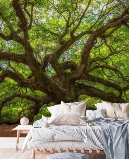 brown and green tree wallpaper mural called Angel Oak Tree for bedrooms, offices and businesses