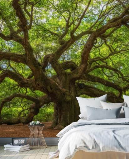 bruine en groene boombehangmuurschildering genaamd Angel Oak Tree voor slaapkamers, kantoren en bedrijven bruine en groene boombehangmuurschildering genaamd Angel Oak Tree voor slaapkamers, kantoren en bedrijven