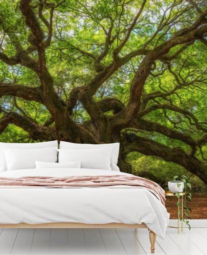 brown and green tree wallpaper mural called Angel Oak Tree for bedrooms, offices and businesses
