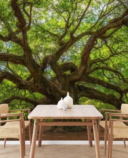 ruskean ja vihreän puun taustakuvamaalaus nimeltä Angel Oak Tree makuuhuoneisiin, toimistoihin ja yrityksiin