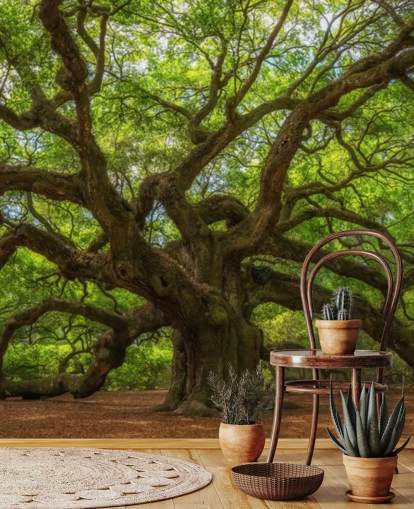 mural de papel de parede de árvore marrom e verde chamado Angel Oak Tree para quartos, escritórios e empresas mural de papel de parede de árvore marrom e verde chamado Angel Oak Tree para quartos, escritórios e empresas