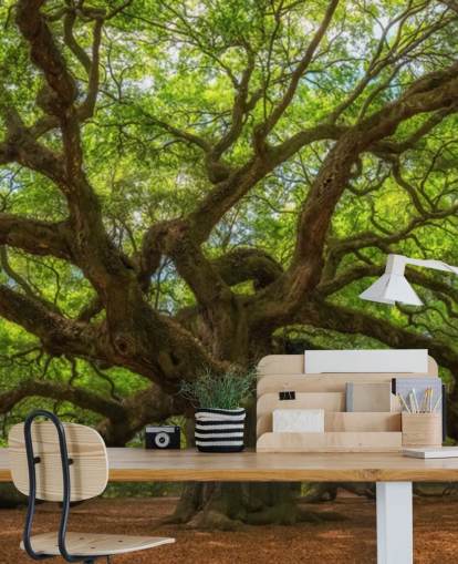 brown and green tree wallpaper mural called Angel Oak Tree for bedrooms, offices and businesses