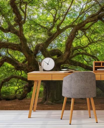 mural de papel pintado de árboles marrones y verdes llamado Angel Oak Tree para dormitorios, oficinas y negocios