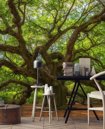 brown and green tree wallpaper mural called Angel Oak Tree for bedrooms, offices and businesses