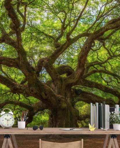 brunt och grönt träd tapetväggmålning som heter Angel Oak Tree för sovrum, kontor och företag brunt och grönt träd tapetväggmålning som heter Angel Oak Tree för sovrum, kontor och företag