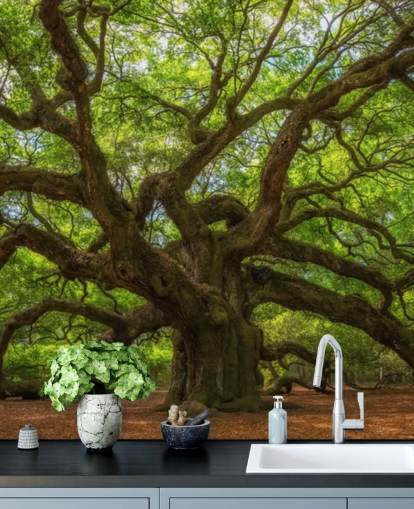 brunt og grønt træ tapet vægmaleri kaldet Angel Oak Tree til soveværelser, kontorer og virksomheder