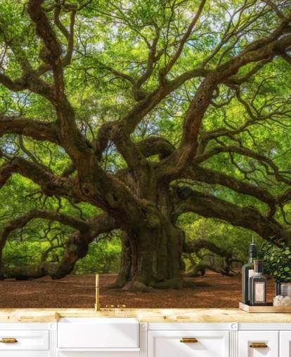 Braune und grüne Baumtapete namens Angel Oak Tree für Schlafzimmer, Büros und Unternehmen Braune und grüne Baumtapete namens Angel Oak Tree für Schlafzimmer, Büros und Unternehmen