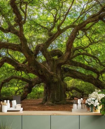 brunt og grønt træ tapet vægmaleri kaldet Angel Oak Tree til soveværelser, kontorer og virksomheder brunt og grønt træ tapet vægmaleri kaldet Angel Oak Tree til soveværelser, kontorer og virksomheder