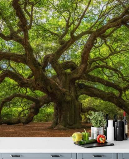 papier peint mural en forme d'arbre brun et vert appelé Angel Oak Tree pour les chambres, les bureaux et les entreprises papier peint mural en forme d'arbre brun et vert appelé Angel Oak Tree pour les chambres, les bureaux et les entreprises