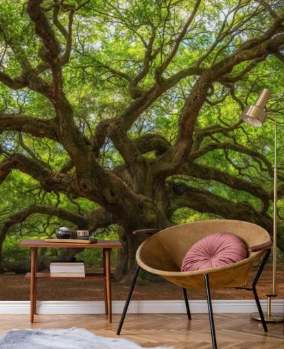 mural de papel pintado de árboles marrones y verdes llamado Angel Oak Tree para dormitorios, oficinas y negocios mural de papel pintado de árboles marrones y verdes llamado Angel Oak Tree para dormitorios, oficinas y negocios