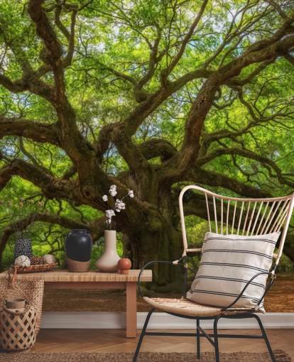 brunt og grønt tretapet veggmaleri kalt Angel Oak Tree for soverom, kontorer og bedrifter brunt og grønt tretapet veggmaleri kalt Angel Oak Tree for soverom, kontorer og bedrifter