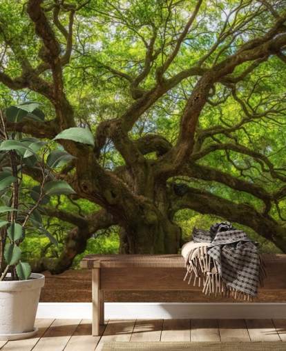 carta da parati murale con albero marrone e verde chiamato Angel Oak Tree per camere da letto, uffici e aziende