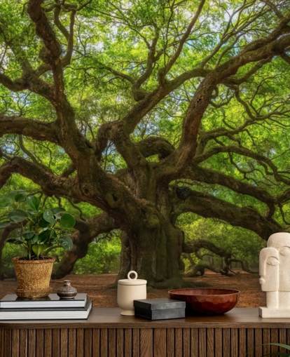 brown and green tree wallpaper mural called Angel Oak Tree for bedrooms, offices and businesses