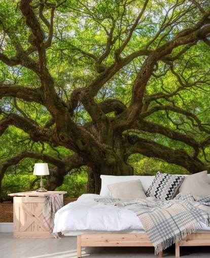 mural de papel pintado de árboles marrones y verdes llamado Angel Oak Tree para dormitorios, oficinas y negocios