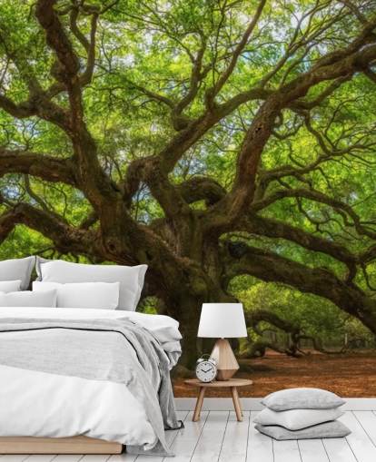 carta da parati murale con albero marrone e verde chiamato Angel Oak Tree per camere da letto, uffici e aziende