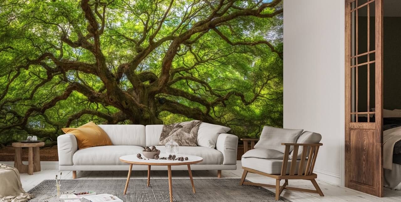 Angel Oak Tree Wallpaper Mural | Wallsauce US