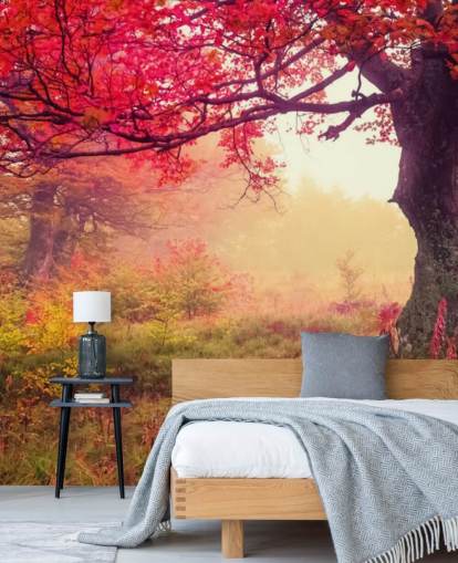 red and green customizable tree wallpaper mural called Autumn Forest Meadow for bedrooms and lounges