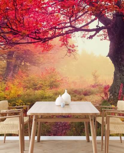 red and green customisable tree wallpaper mural called Autumn Forest Meadow for bedrooms and lounges