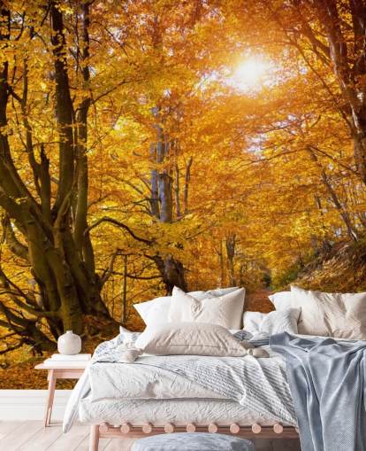 Autumn Leaves on Trees