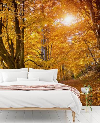 Hojas de otoño en los árboles