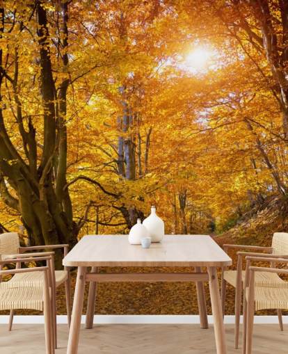 Autumn Leaves on Trees