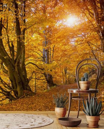 Herbstblätter an Bäumen