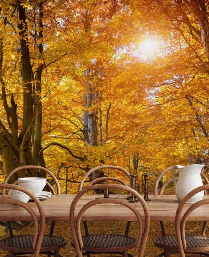 Hojas de otoño en los árboles