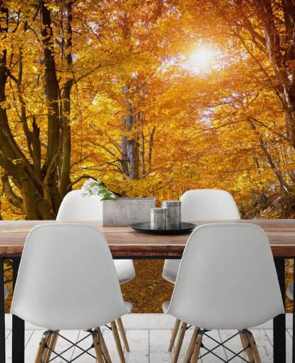 Feuilles d'automne sur les arbres