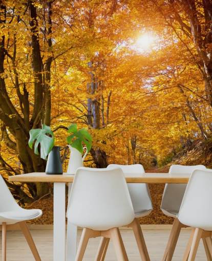 Herfstbladeren op bomen