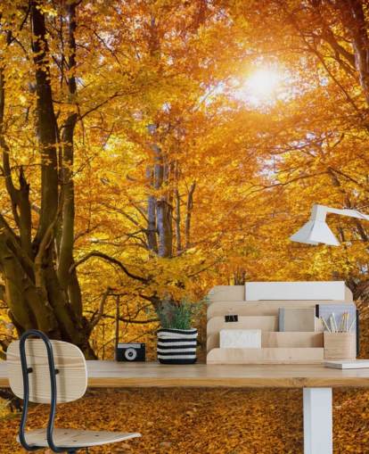 Feuilles d'automne sur les arbres