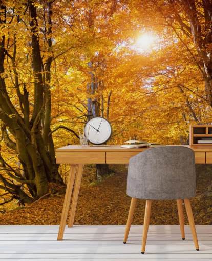 Hojas de otoño en los árboles