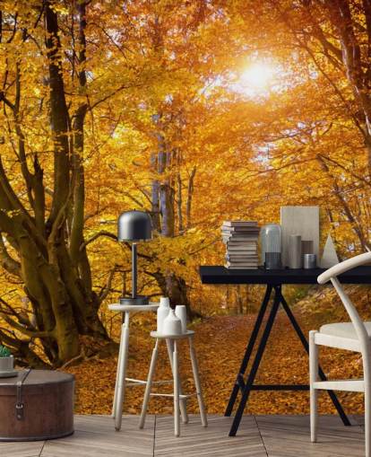 Autumn Leaves on Trees Autumn Leaves on Trees