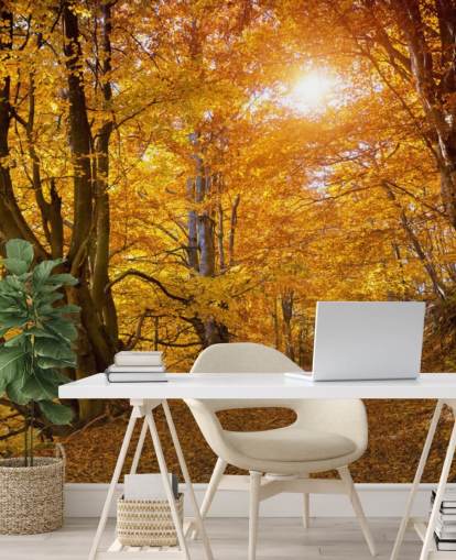 Herfstbladeren op bomen