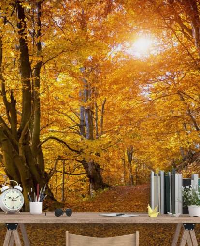 Feuilles d'automne sur les arbres