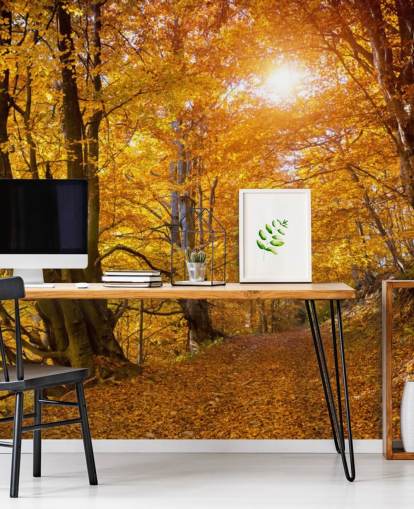 Herbstblätter an Bäumen